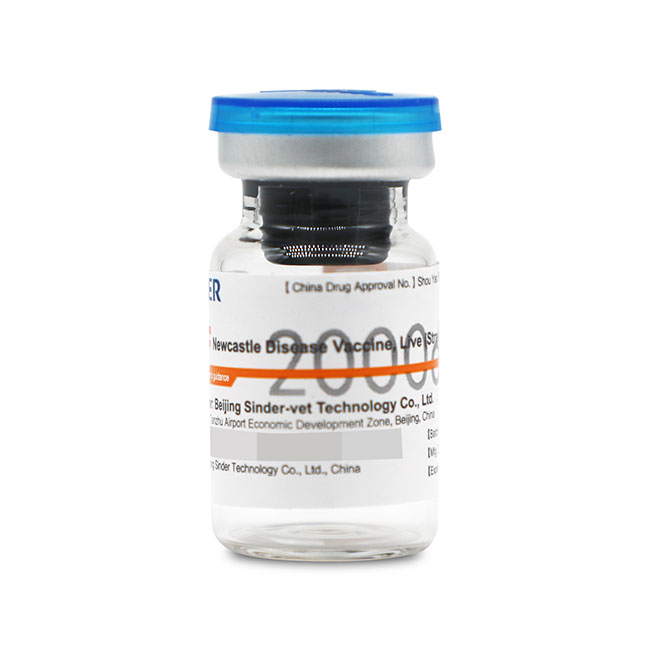 ND - Clone 30 Live Vaccine from China manufacturer - SINDER